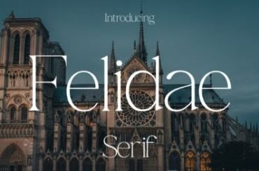 Felidae Font
